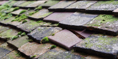 Cheddington roof repair costs